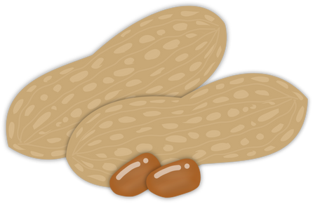 Illustration of Peanuts