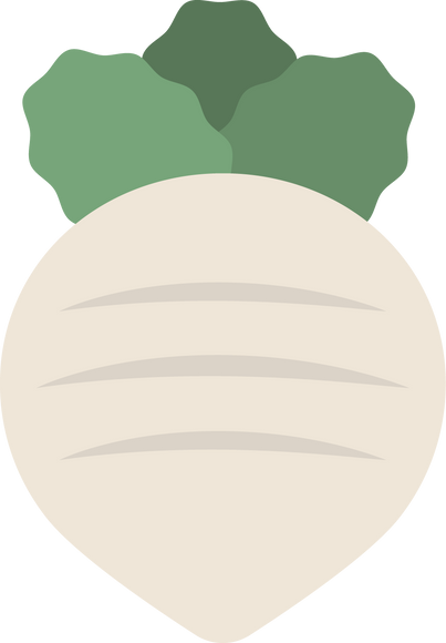Turnip Flat Icon